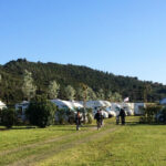 Area Sosta Camper Ciro Park